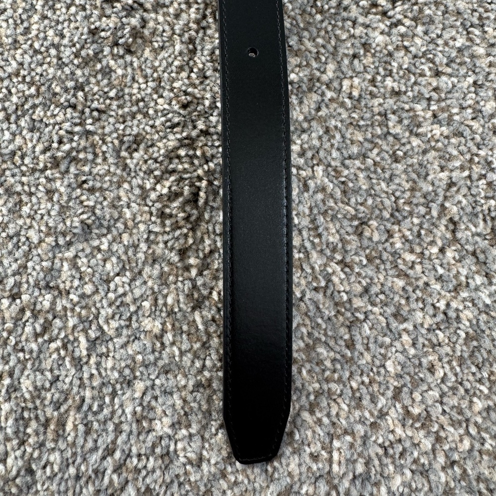 Aritzia Accent Solid Brass Leather Belt - Picture 10 of 11